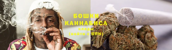 mix Богородицк