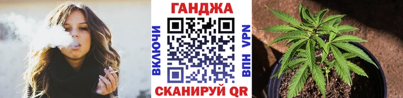 Канабис сатива  Бирюсинск 